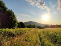 c0b45e86-4468-4b2e-baf9-a68301f87fdd