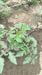 960f177d-b44e-4381-9141-ead7929c0854