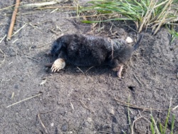 17dc3ed9-7864-47df-89dd-cead88c65d7e