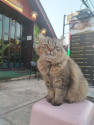 c0da5d12-01f3-4e58-a577-2575ac864412