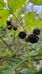 0f9f9379-a2e0-49b9-945e-ab6501a409d7