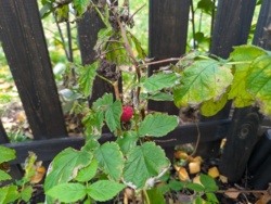 e33ec6ca-1eea-4d62-a4a0-ad60c6cf65b9