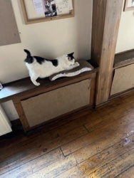 dab9615b-d803-443b-83c0-8e2e1a47796a