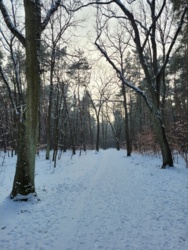 04bea241-460d-4b07-8948-a3e109ff4410