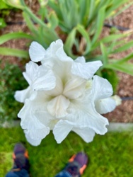 3bfac068-6ddc-4eda-86f2-adefa32ad39f