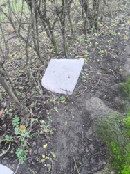 2c22ec28-3daa-4c45-b441-37dee8a371cb