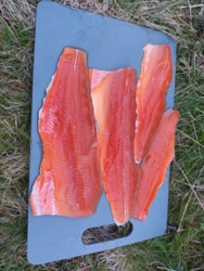 035c3390-ccd8-441b-919a-c9b968f6d121