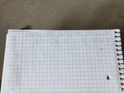 696026a0-e3e0-4f27-b795-1eabc471394c