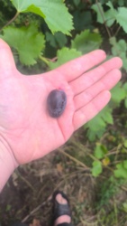 44611900-dc8b-4d55-8602-0a5c40785b39