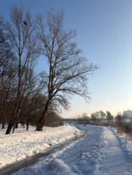 934e4507-8139-4bf4-9251-4a5f060b2c8a