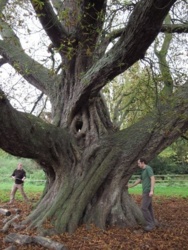 996dd3ae-01ea-48f2-a7a0-2a63f0478ff7