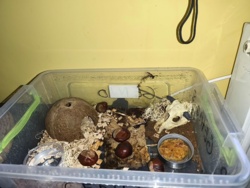 244815e5-038c-4080-bb74-e3d2f2d3833a