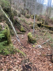 68aaea5d-7dc7-4a22-9e9a-5c7b72b50ff5