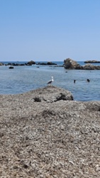 91d8ea2d-70e0-4f51-b8a4-4431f60f3a66