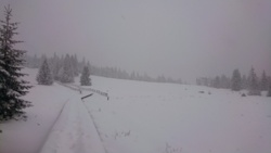 1994e3fe-ce05-4ed5-b177-bff2d756907d