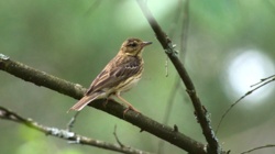 6f820580-6766-4b19-94be-0404b640acfd