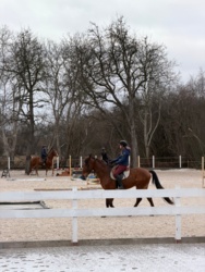 b2313c9f-66fe-48b7-9985-964b89cae34a