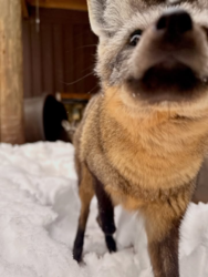 0411fb1b-8749-4a36-ae22-48602491ed95