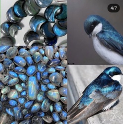 b8a8407f-80fa-406a-bc25-8734b201470a