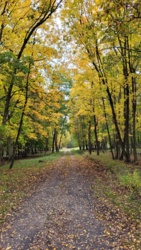 f83f3c2c-ca57-4864-b294-10c5429a4f21