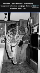 f3faf842-3c7f-4987-9e37-1143cd52fd6b