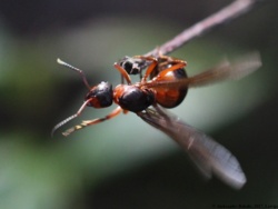 04d7f4ca-4d4f-4d79-a944-38352ab559e2