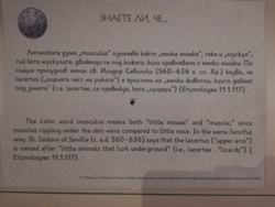 64eb6d3b-aedb-4f8c-ab68-d08eed1952ec