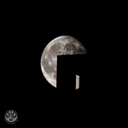 716e1de3-1781-4da8-acd8-f7b14038b88d