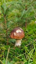 d856347a-8489-4941-a10c-8eeac98faa14