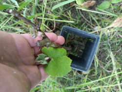 8979bd99-d048-4261-9f7f-ecc22c968b93