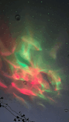 ed9f298a-58fc-47a2-bd5a-a360664f6489