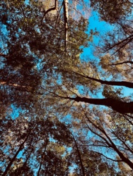 6cd06d7d-b15a-4368-acc5-0cea6c94c8a1