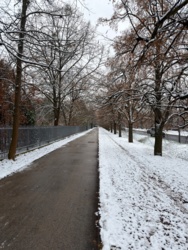 e87d50d7-0f94-4411-bc7b-21d4f36293de