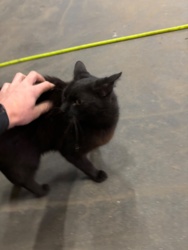 177d8869-b22f-4101-a85f-7be37640162e