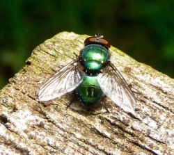 bc73d979-f621-4949-b06b-c4072afdb091