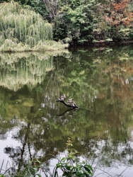 b0073f0b-b7b0-444a-a553-45b866fc44a7