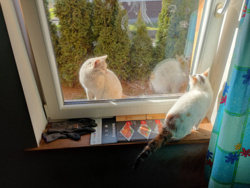 e972b598-3867-4e2a-9442-b94f9c708fe5