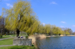 Staw Skałka Świętochłowice Wiosenny Foto Spacer Fot. Piotr Witowski / Urokliwy Śląsk / Śląsk Jest Prze Śliczny