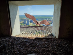 10a8ff5f-e14b-495c-9133-b58dcecee538