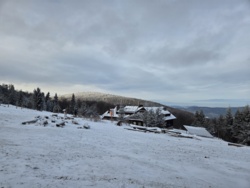 3d62fe48-60f7-47f4-9686-0d6350945c0d