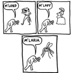 ddb4ca58-63f0-4855-a173-1ba602798c1c