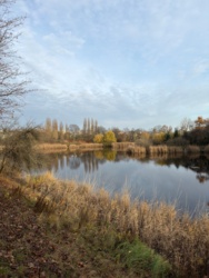 d906e52e-50a5-48c3-8062-dadfb4cdb985