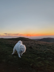 a6d54386-ca27-4455-b58c-730d03d1d5d0