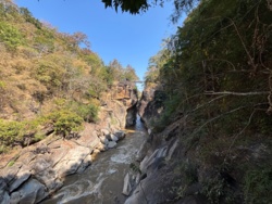 ca5b0741-940b-478d-bd71-1698ec8e832e