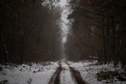 80ae7c59-1aac-4971-bee9-92de5ed02dbb