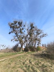 b8bcc6b5-1f4b-4cdc-9eff-7aa5cd048fb8