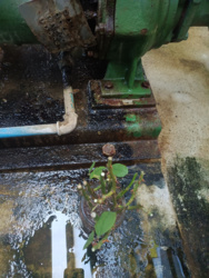 38fb693c-8f6f-4cbc-8927-f907e4da8346