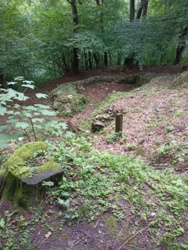 0f592fba-60f9-43e6-b5b8-d458416263f9