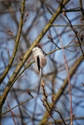 3f21bd3b-e6e8-4adb-98c5-da9e7e3982ec