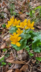 5987bac9-3f7d-4da2-a5bc-dbe75622e78b